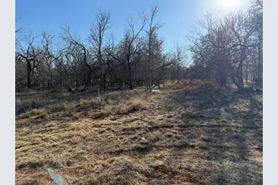 133 Chandler Cove, Cedar Creek, TX 78612 - Photo 1