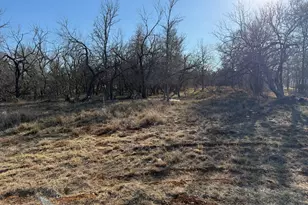 133 Chandler Cv, Cedar Creek, TX 78612 - Photo 1