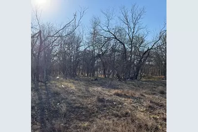 133 Chandler Cove, Cedar Creek, TX 78612 - Photo 3