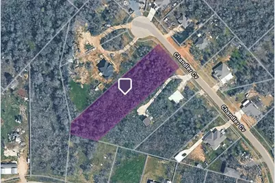 133 Chandler Cove, Cedar Creek, TX 78612 - Photo 5