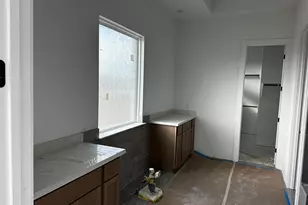 217 Las Posas Dr, Liberty Hill, TX 78642 - Photo 19