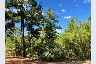 Lot 986 Kailua L Lane, Bastrop, TX 78602 - Photo 1