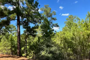 Lot 986 Kailua L Ln, Bastrop, TX 78602 - Photo 1