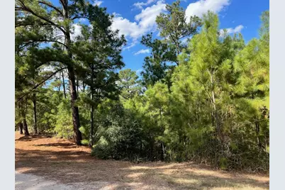 Lot 986 Kailua L Lane, Bastrop, TX 78602 - Photo 5