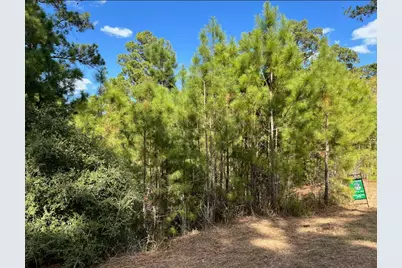 Lot 986 Kailua L Lane, Bastrop, TX 78602 - Photo 9