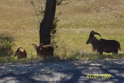 1059 Ranger Ridge Alley, New Braunfels, TX 78132 - Photo 19