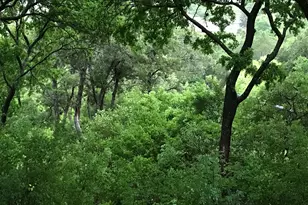 338 Sailmaster St, Lakeway, TX 78734 - Photo 37