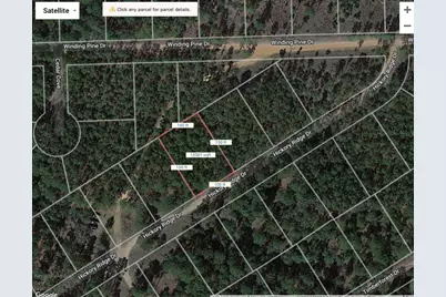 Lot 12 Hickory Ridge Drive, Bastrop, TX 78602 - Photo 7