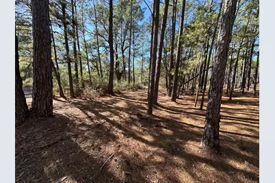 Lot 12 Hickory Ridge Drive, Bastrop, TX 78602 - Photo 5