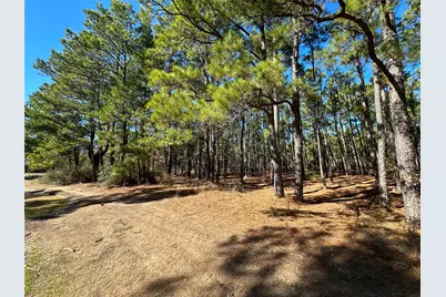 Lot 12 Hickory Ridge Drive, Bastrop, TX 78602 - Photo 3