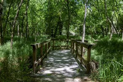 Lot 12 Hickory Ridge Drive, Bastrop, TX 78602 - Photo 11