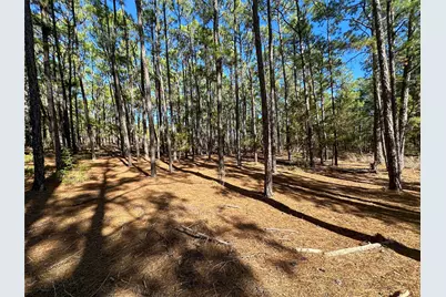 Lot 12 Hickory Ridge Drive, Bastrop, TX 78602 - Photo 1