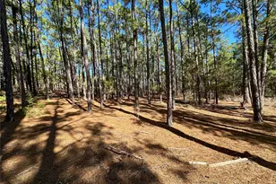 Lot 12 Hickory Ridge Dr, Bastrop, TX 78602 - Photo 1
