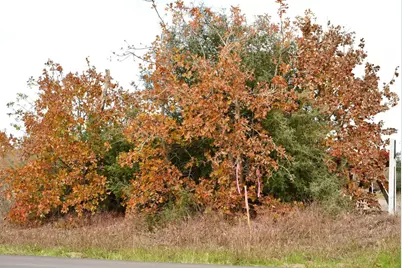 497 Cottletown Road, Smithville, TX 78957 - Photo 19