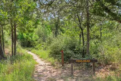 497 Cottletown Road, Smithville, TX 78957 - Photo 11