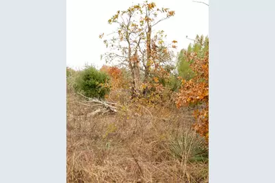 497 Cottletown Road, Smithville, TX 78957 - Photo 21