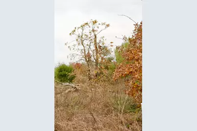 497 Cottletown Road, Smithville, TX 78957 - Photo 25