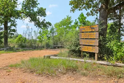 497 Cottletown Road, Smithville, TX 78957 - Photo 3