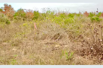 497 Cottletown Road, Smithville, TX 78957 - Photo 13