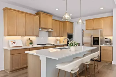 17208 Kiyah Rose Way, Pflugerville, TX 78660 - Photo 3