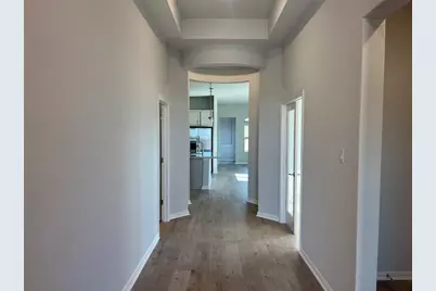 244 Rubber Tree Way, Buda, TX 78610 - Photo 11