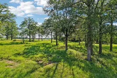 6 Acres County Road 211, Giddings, TX 78942 - Photo 3