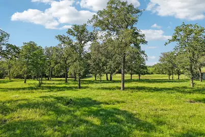 6 Acres County Road 211, Giddings, TX 78942 - Photo 1