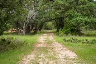 3814 Co Rd 19, Hallettsville, TX 77964 - Photo 27