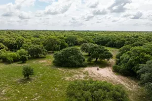 3814 Co Rd 19, Hallettsville, TX 77964 - Photo 35