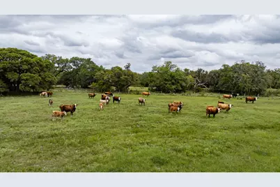 3814 Cr 19, Hallettsville, TX 77964 - Photo 25