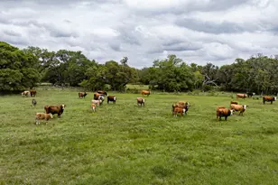 3814 Co Rd 19, Hallettsville, TX 77964 - Photo 25