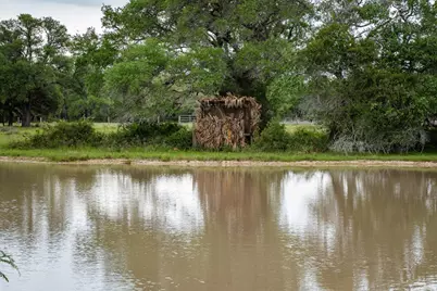 3814 Cr 19, Hallettsville, TX 77964 - Photo 33