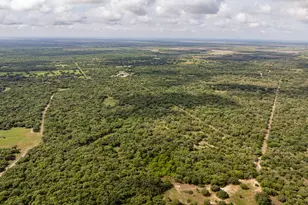 3814 Co Rd 19, Hallettsville, TX 77964 - Photo 5