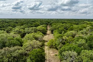 3814 Co Rd 19, Hallettsville, TX 77964 - Photo 9