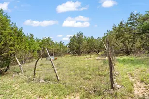 10006 Janet Loop, Dripping Springs, TX 78620 - Photo 31