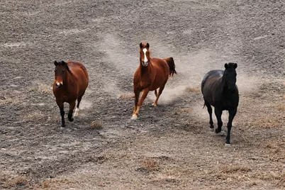 1274 County Road 2806, Lampasas, TX 76550 - Photo 7