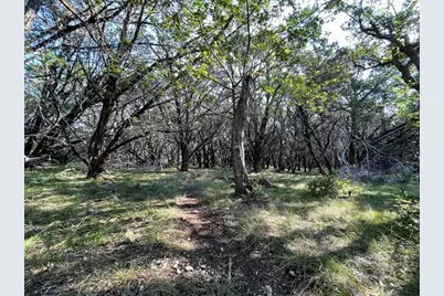 4547 County Road 108, Burnet, TX 78611 - Photo 11