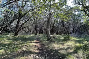 4547 Co Rd 108, Burnet, TX 78611 - Photo 11