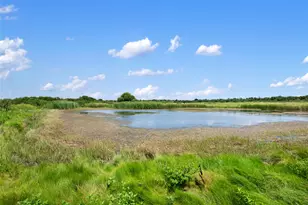 1775 County Road 305 Rd, Jarrell, TX 76537 - Photo 7