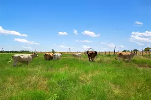 1775 County Road 305 Rd, Jarrell, TX 76537 - Photo 9