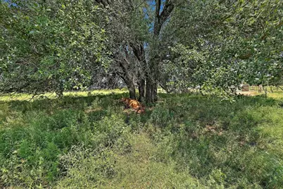 255 Skyline Drive, Marble Falls, TX 78654 - Photo 33