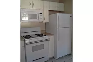 1000 E 44th St, Austin, TX 78751 - Photo 5