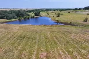 Tbd Lot 2 County Road 236, Bertram, TX 78605 - Photo 23