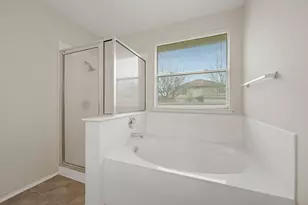 115 Plumbago Cove, Buda, TX 78610 - Photo 15