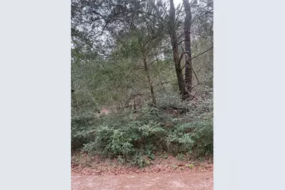 Lot 1428 Keeau Court, Bastrop, TX 78602 - Photo 3