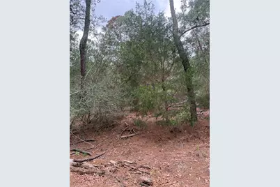Lot 1428 Keeau Court, Bastrop, TX 78602 - Photo 5