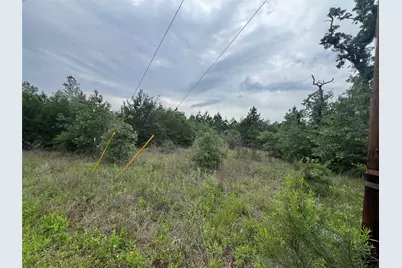 Tbd Blue Jay Road, Bastrop, TX 78602 - Photo 3