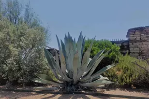 Lot 27 Sierra Bluff Bluff, Buchanan Dam, TX 78609 - Photo 1