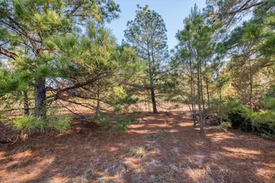 000 Dunbar Rd (Tract 3) Road, McDade, TX 78650 - Photo 3