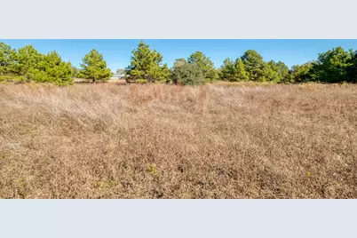 000 Dunbar Rd (Tract 3) Road, McDade, TX 78650 - Photo 9